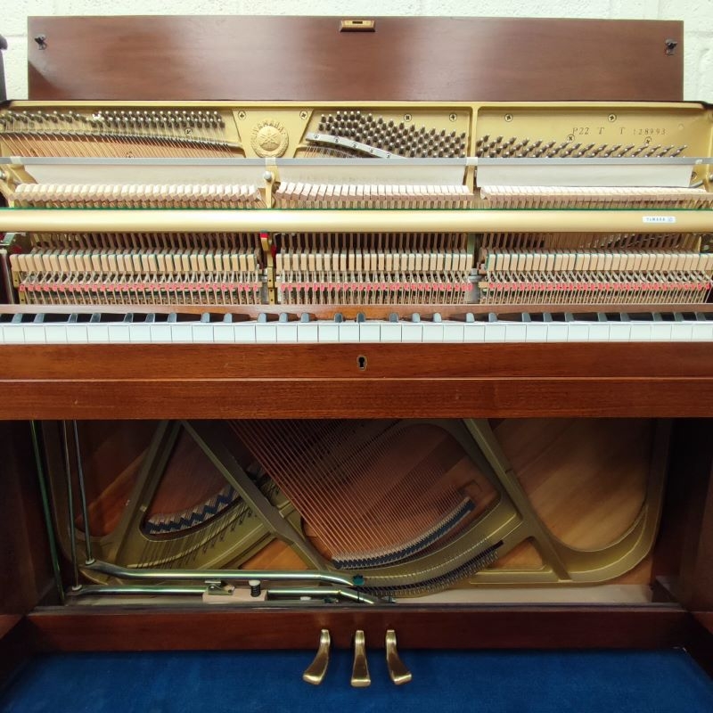 Yamaha P22