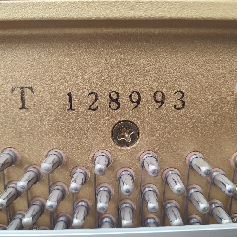 Yamaha P22