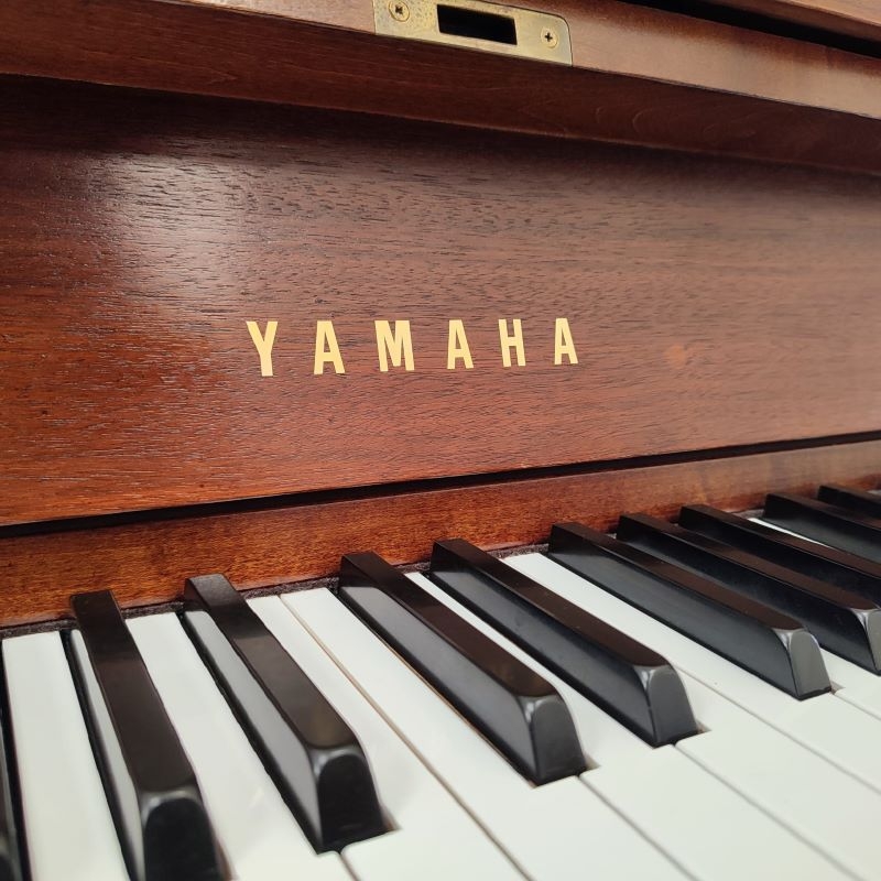 Yamaha P22