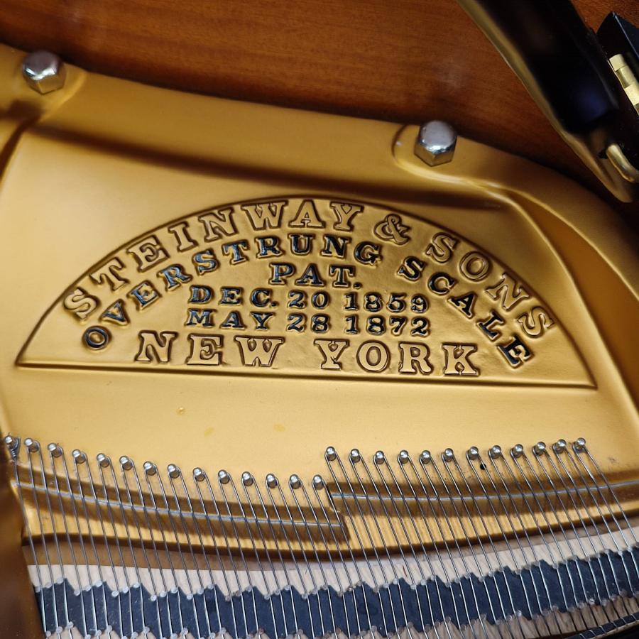 Steinway Model O grand Piano in black polyester – Gallery image – Roberts Pianos Oxford