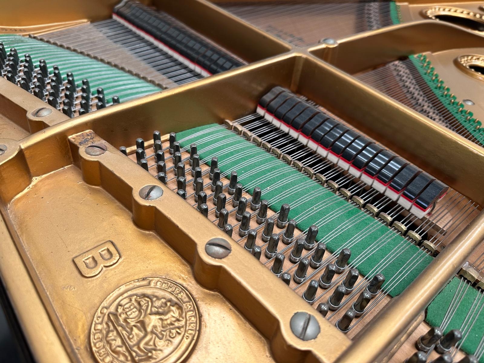 Bechstein B