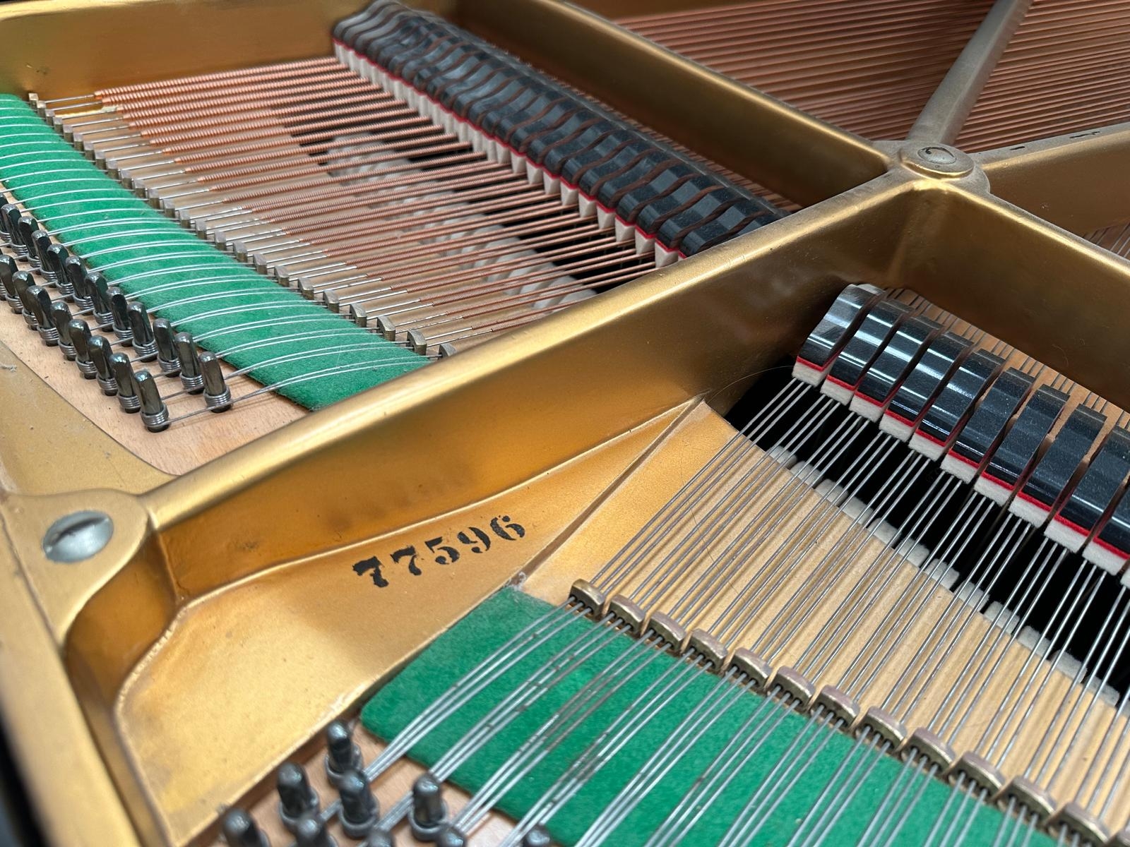Bechstein B