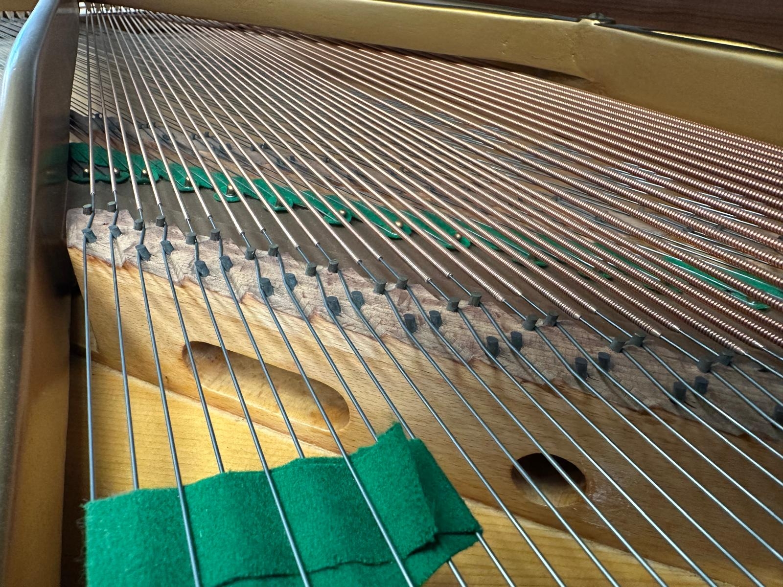 Bechstein B