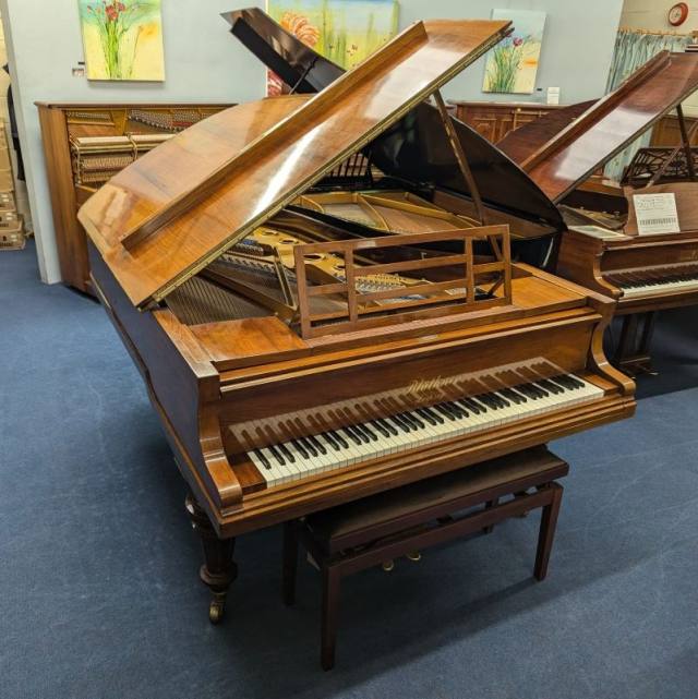 Bluthner Style X grand Piano in rosewood – Inventory thumbnail – Roberts Pianos Oxford