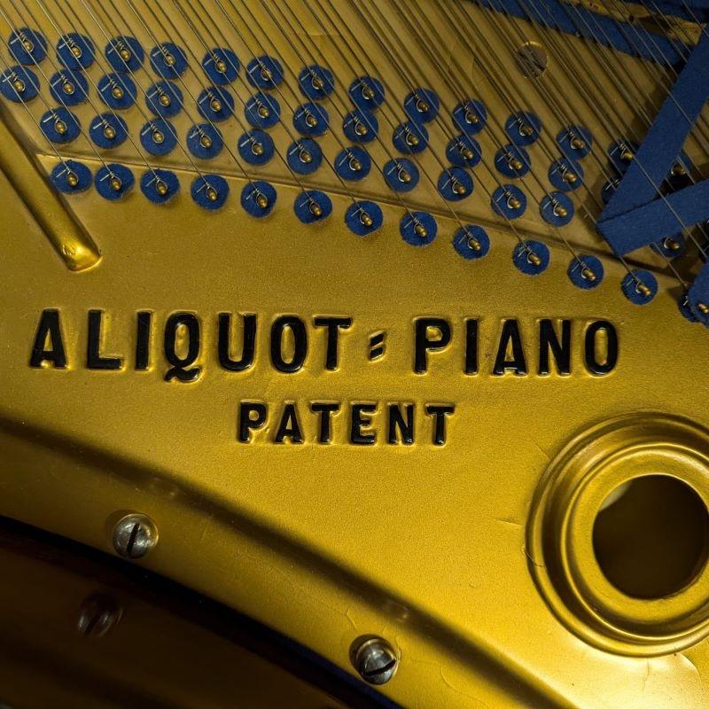 Bluthner Style X grand Piano in rosewood – Gallery image – Roberts Pianos Oxford