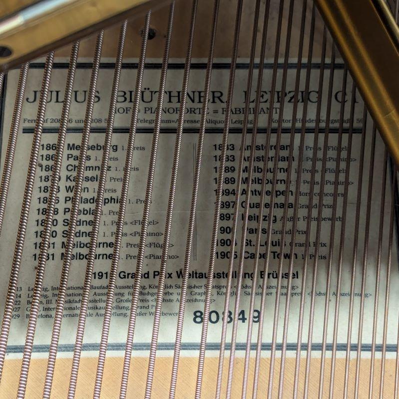 Bluthner Style X grand Piano in rosewood – Gallery image – Roberts Pianos Oxford