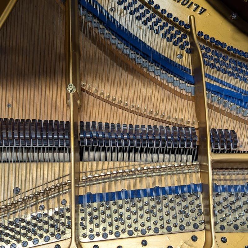 Bluthner Style X grand Piano in rosewood – Gallery image – Roberts Pianos Oxford