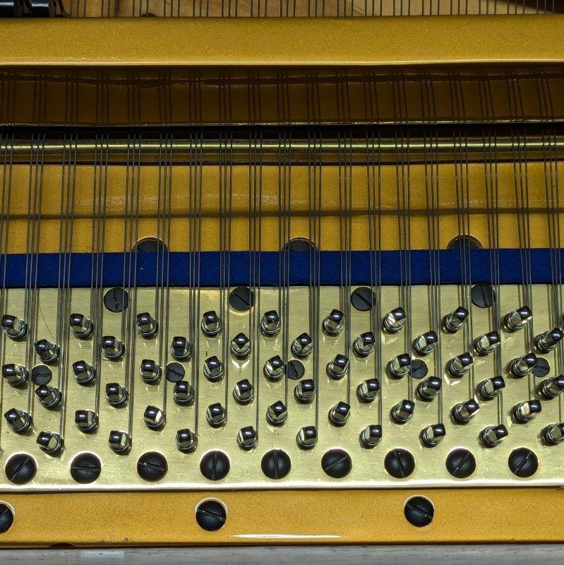 Bluthner Style VII grand Piano in Rosewood – Gallery image – Roberts Pianos Oxford