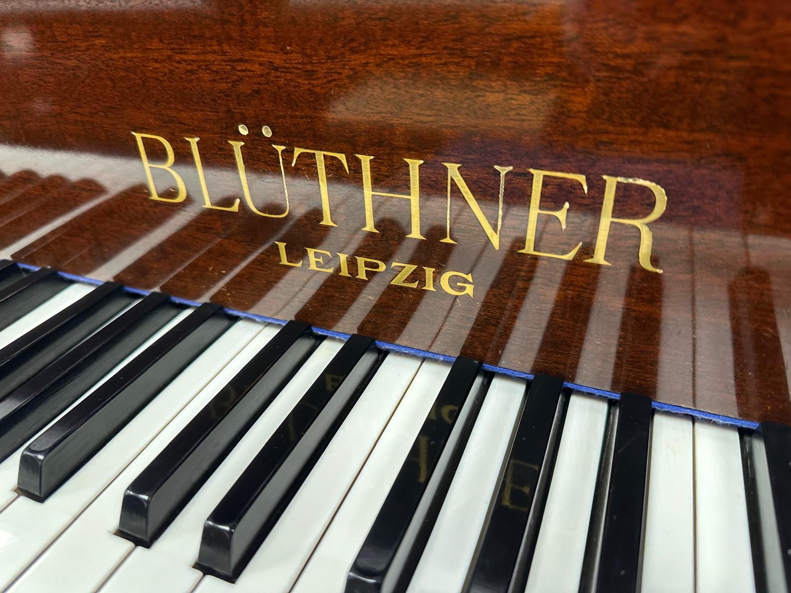 Bluthner IV