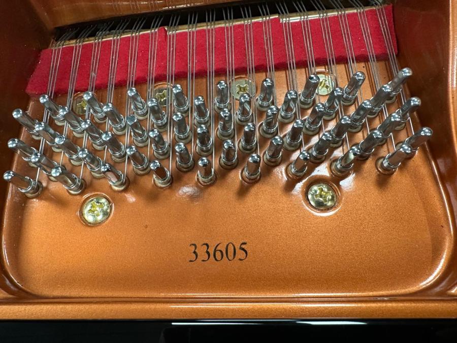 Wendl & Lung 161 grand Piano in black – Gallery image – Roberts Pianos Oxford