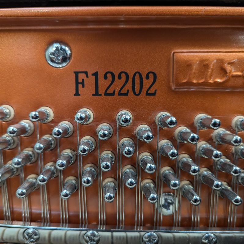 Feurich 115