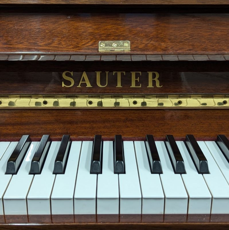 Sauter 110