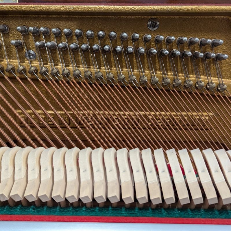 Sauter 110