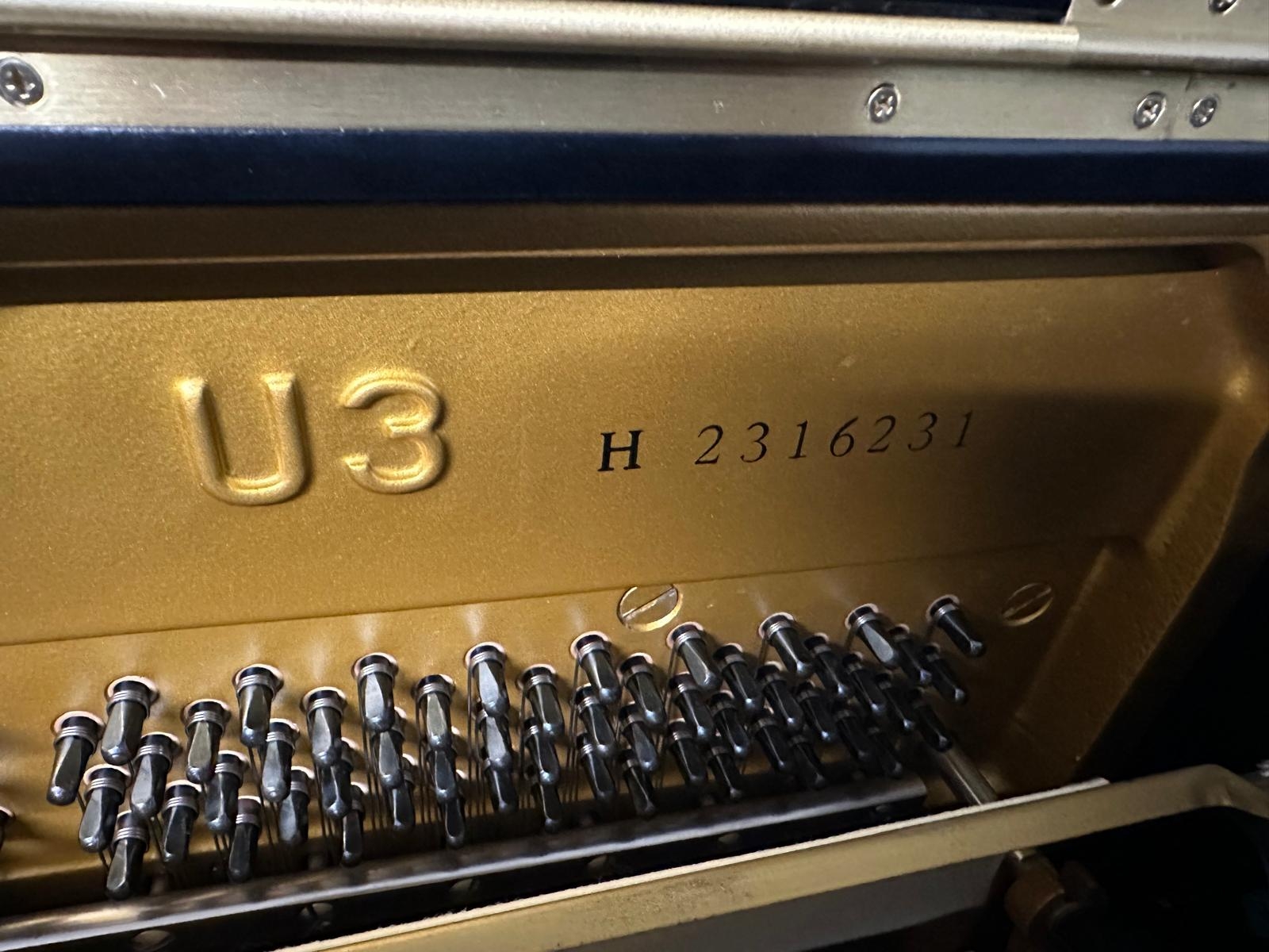 Yamaha U3H