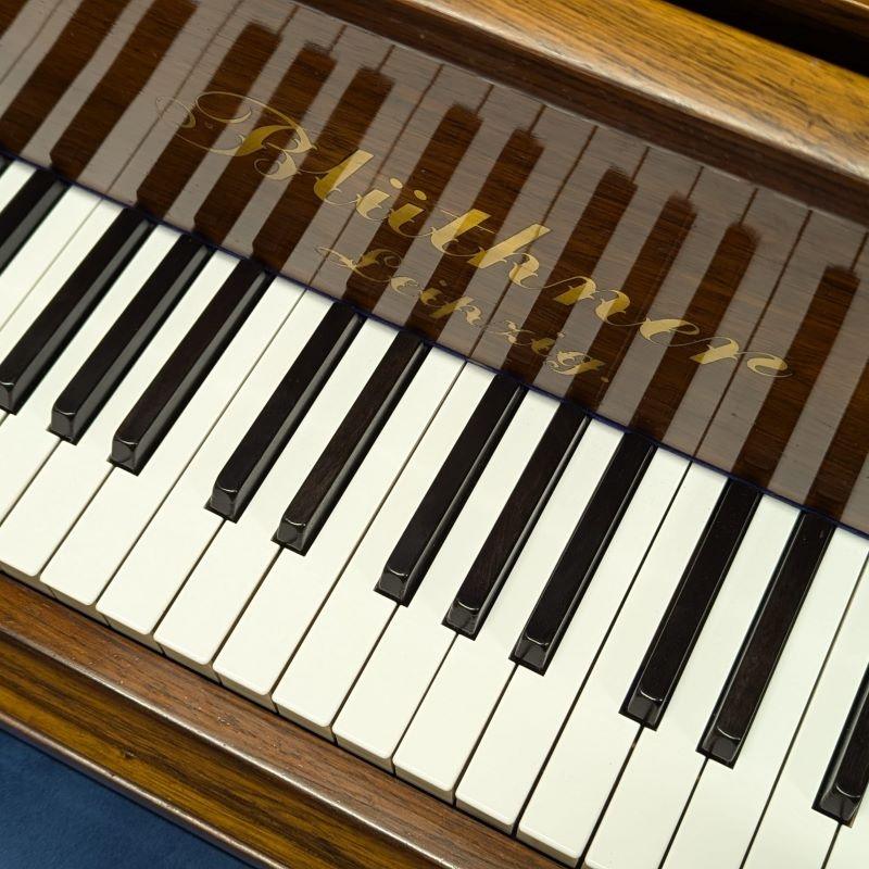 Bluthner Style X grand Piano in rosewood – Gallery image – Roberts Pianos Oxford