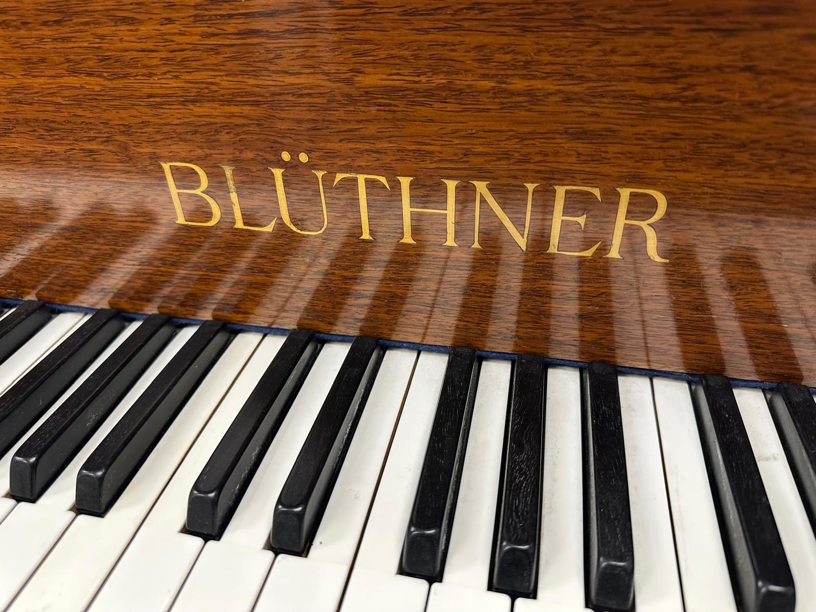 Bluthner V