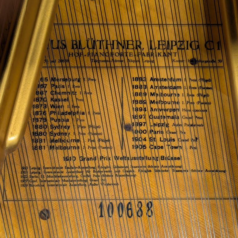 Bluthner VII