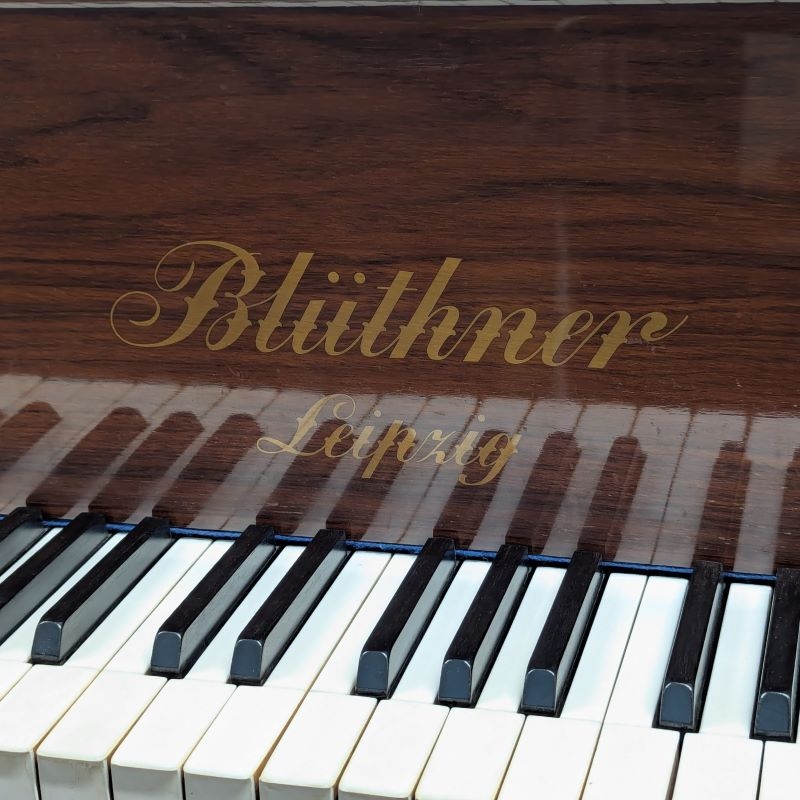 Bluthner VII