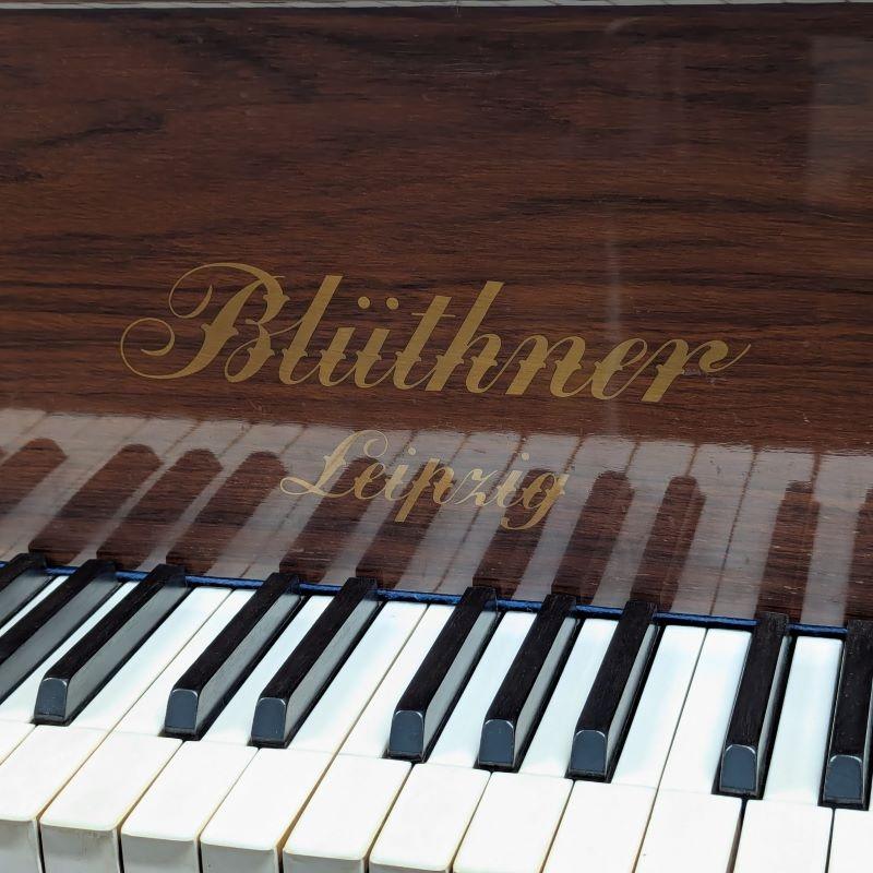 Bluthner VII grand Piano in Rosewood – Gallery image – Roberts Pianos Oxford
