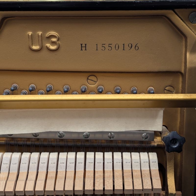 Yamaha U3H