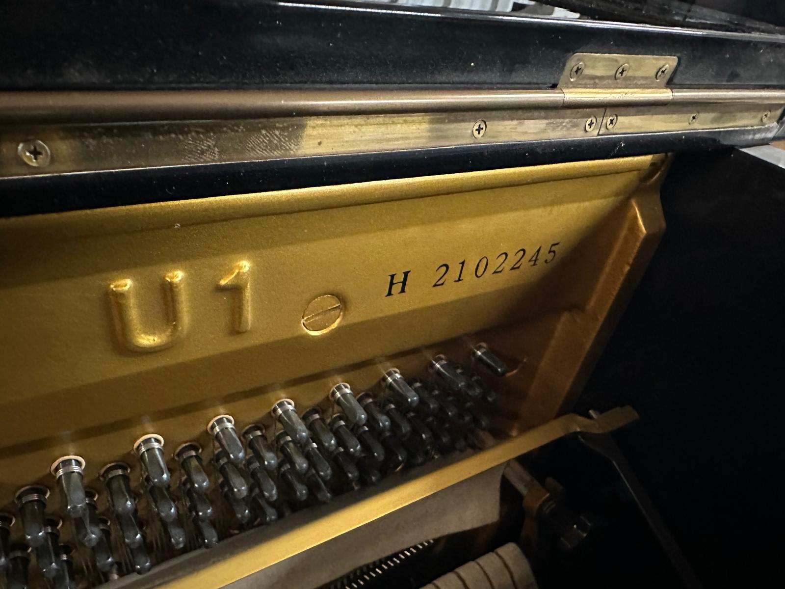 Yamaha U1H