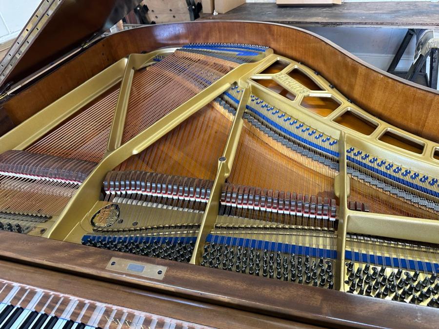 Bluthner Style IV grand Piano in mahogany – Gallery image – Roberts Pianos Oxford