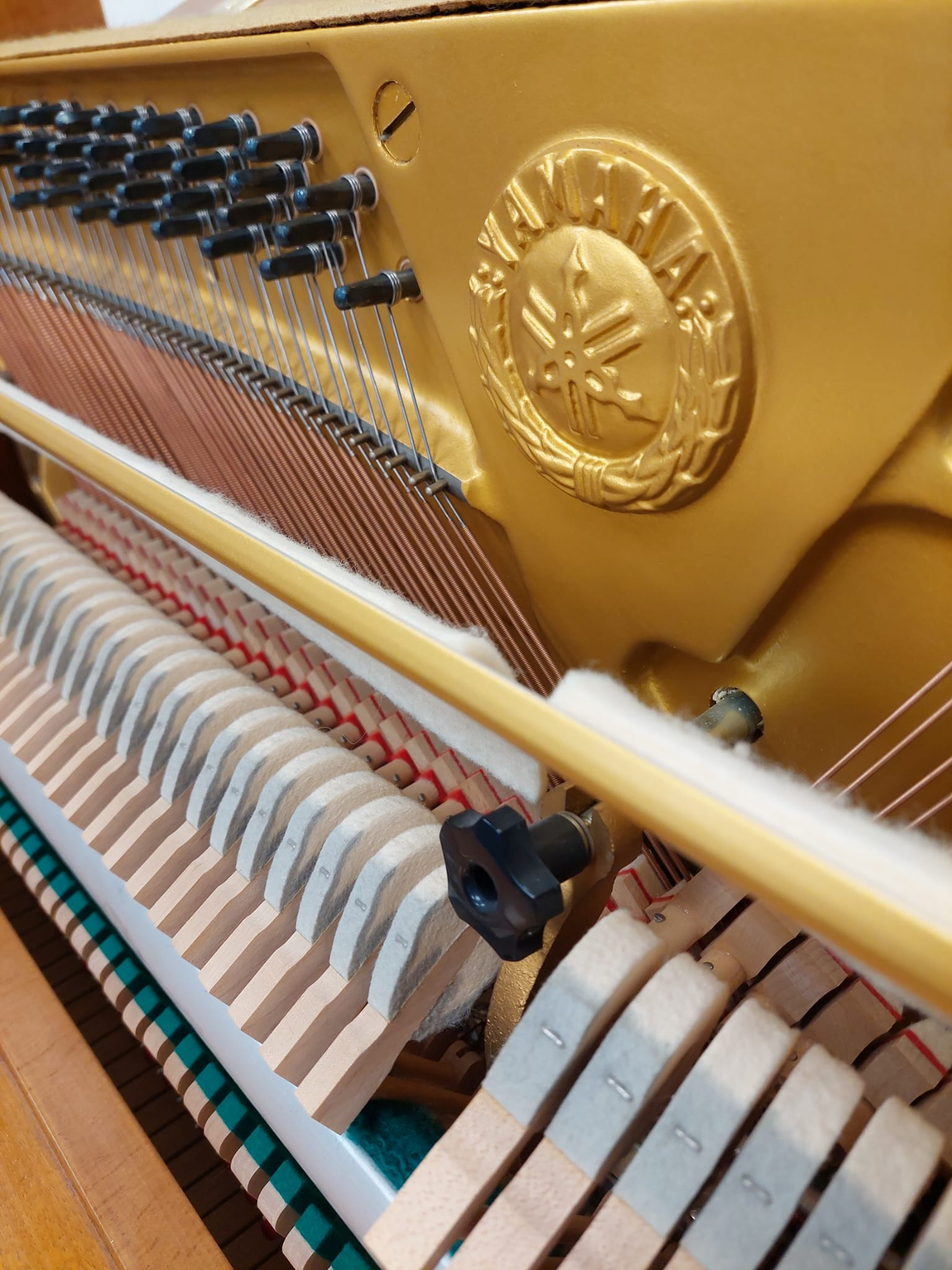 Yamaha 104