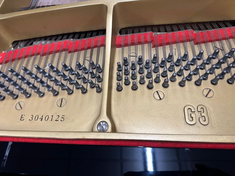 Yamaha G3E