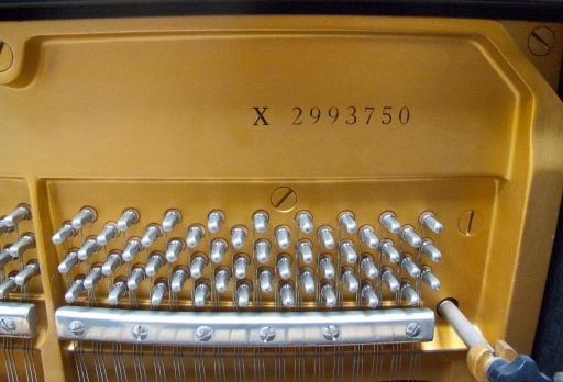 Yamaha X