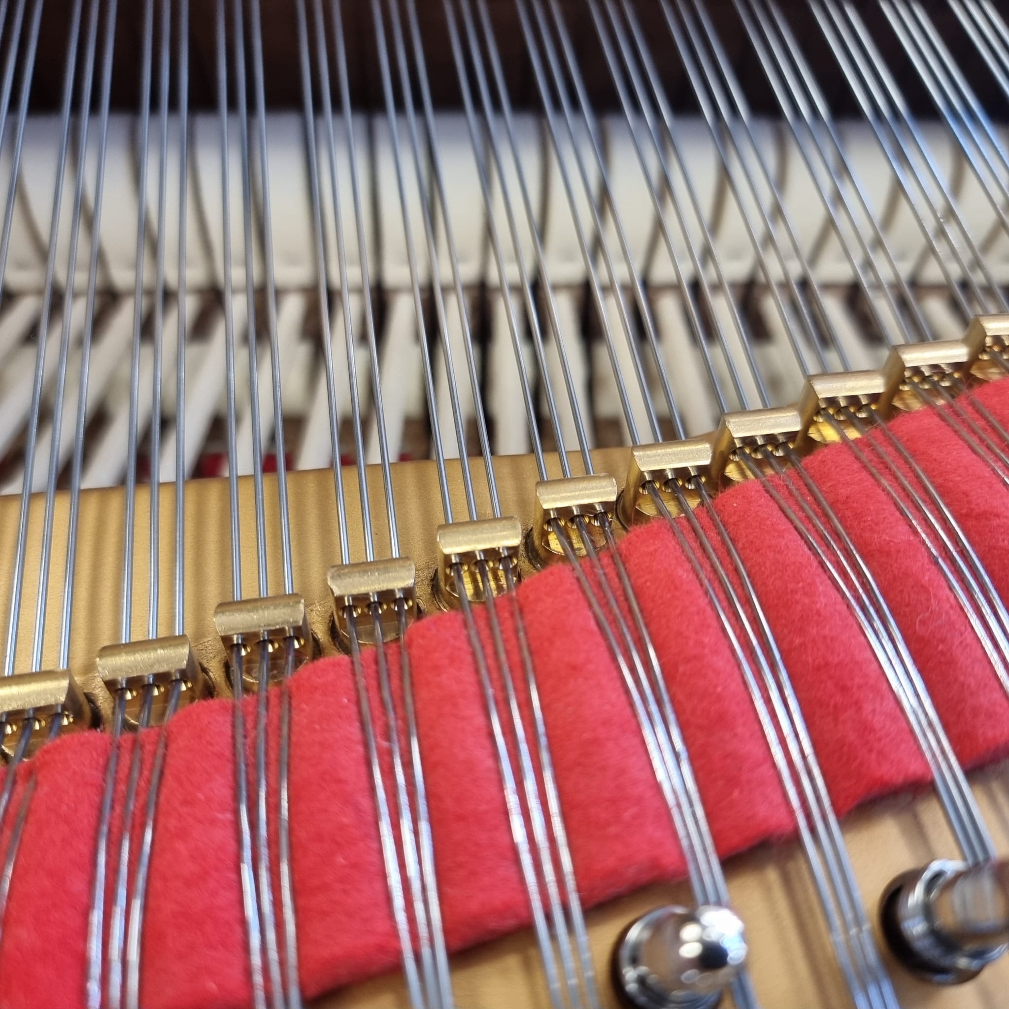 Steinway B