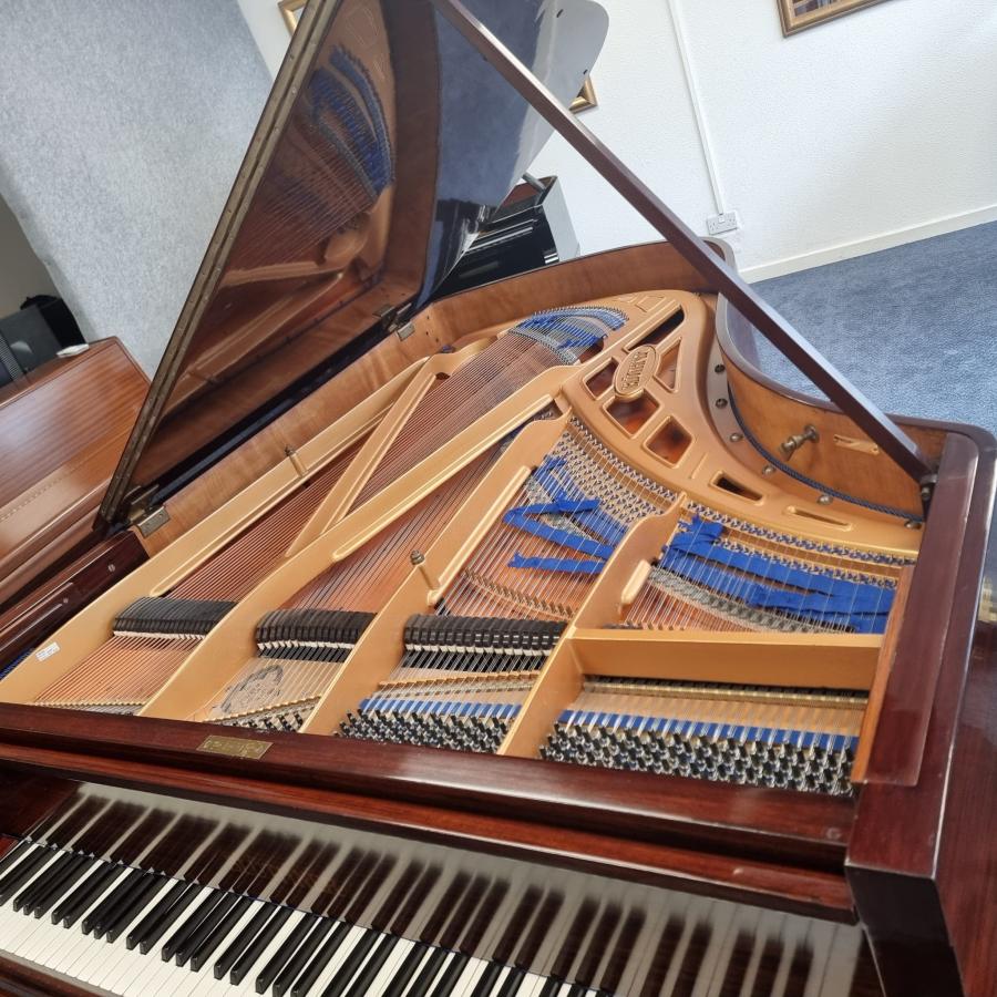 Bluthner Style VIII grand Piano in rosewood – Gallery image – Roberts Pianos Oxford