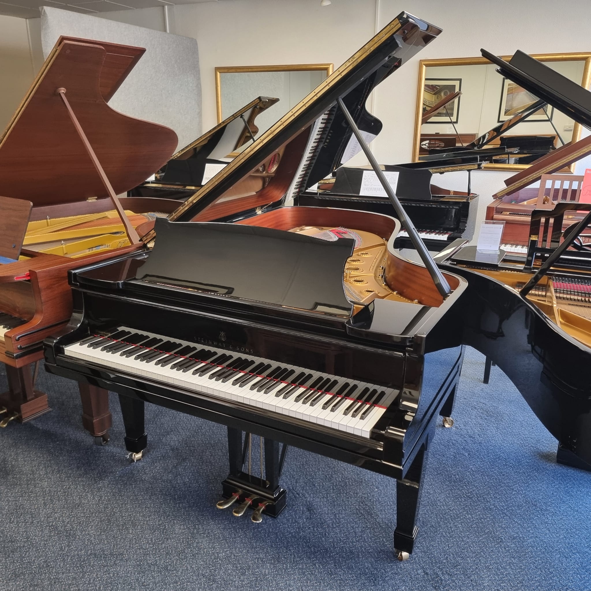 Steinway B