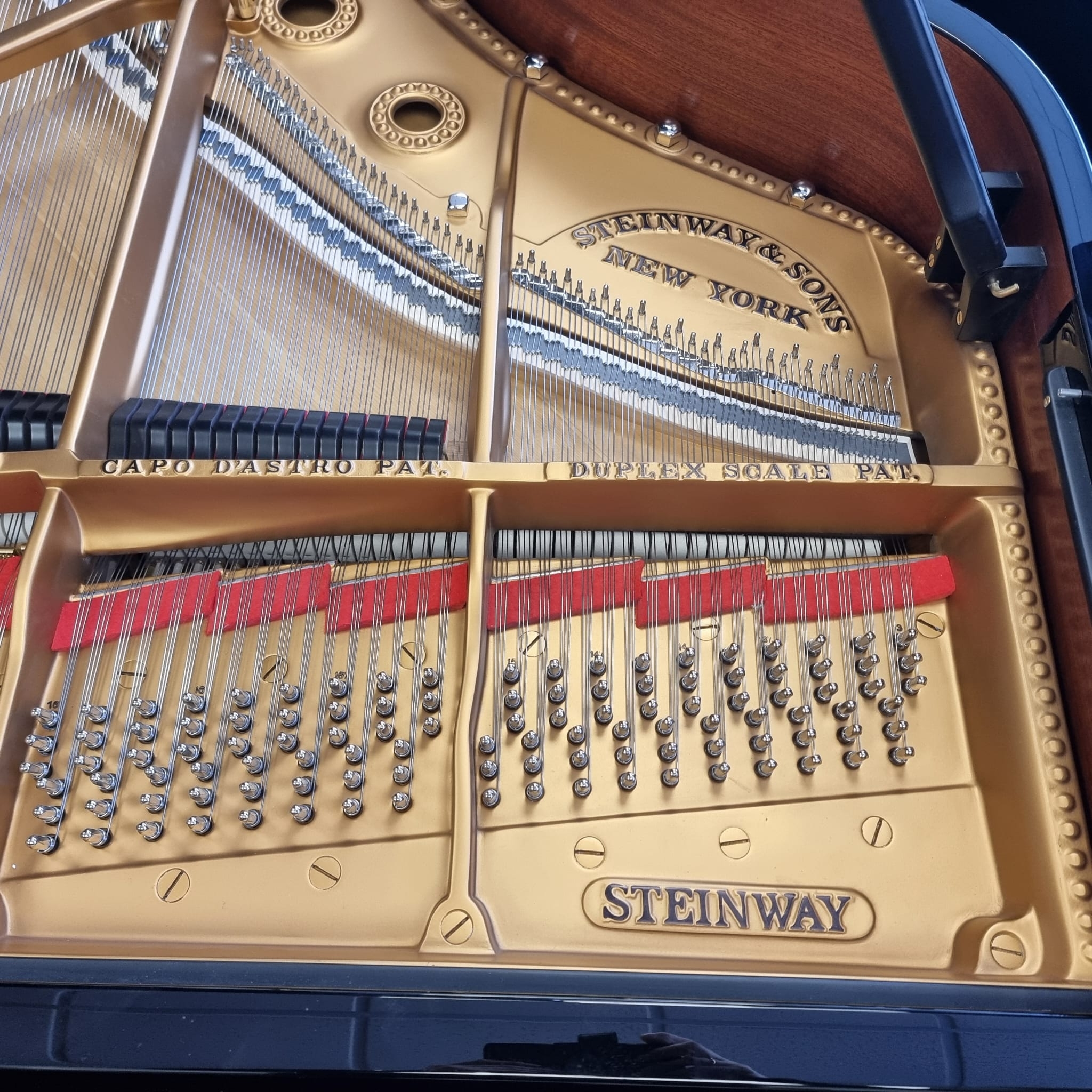 Steinway B
