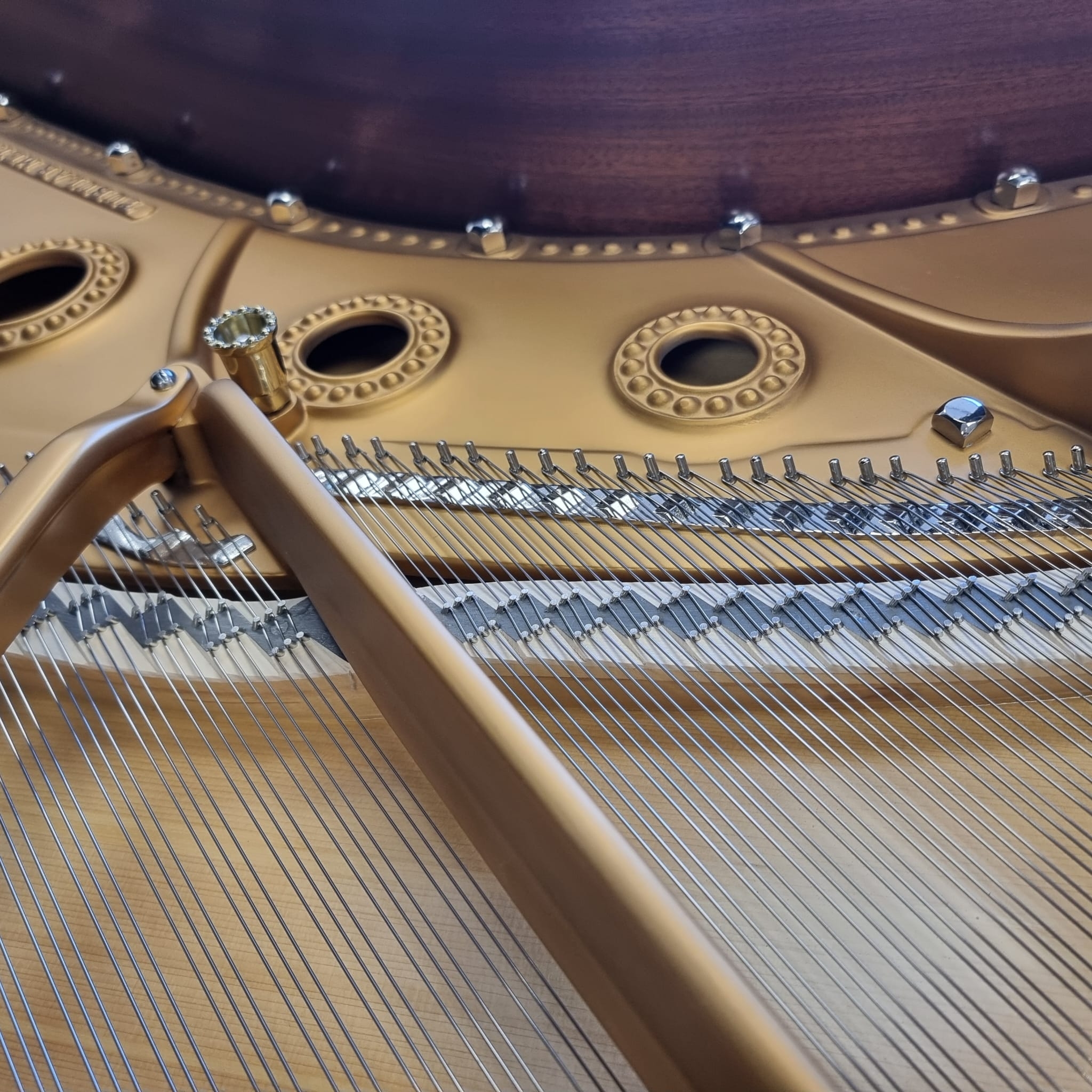 Steinway B