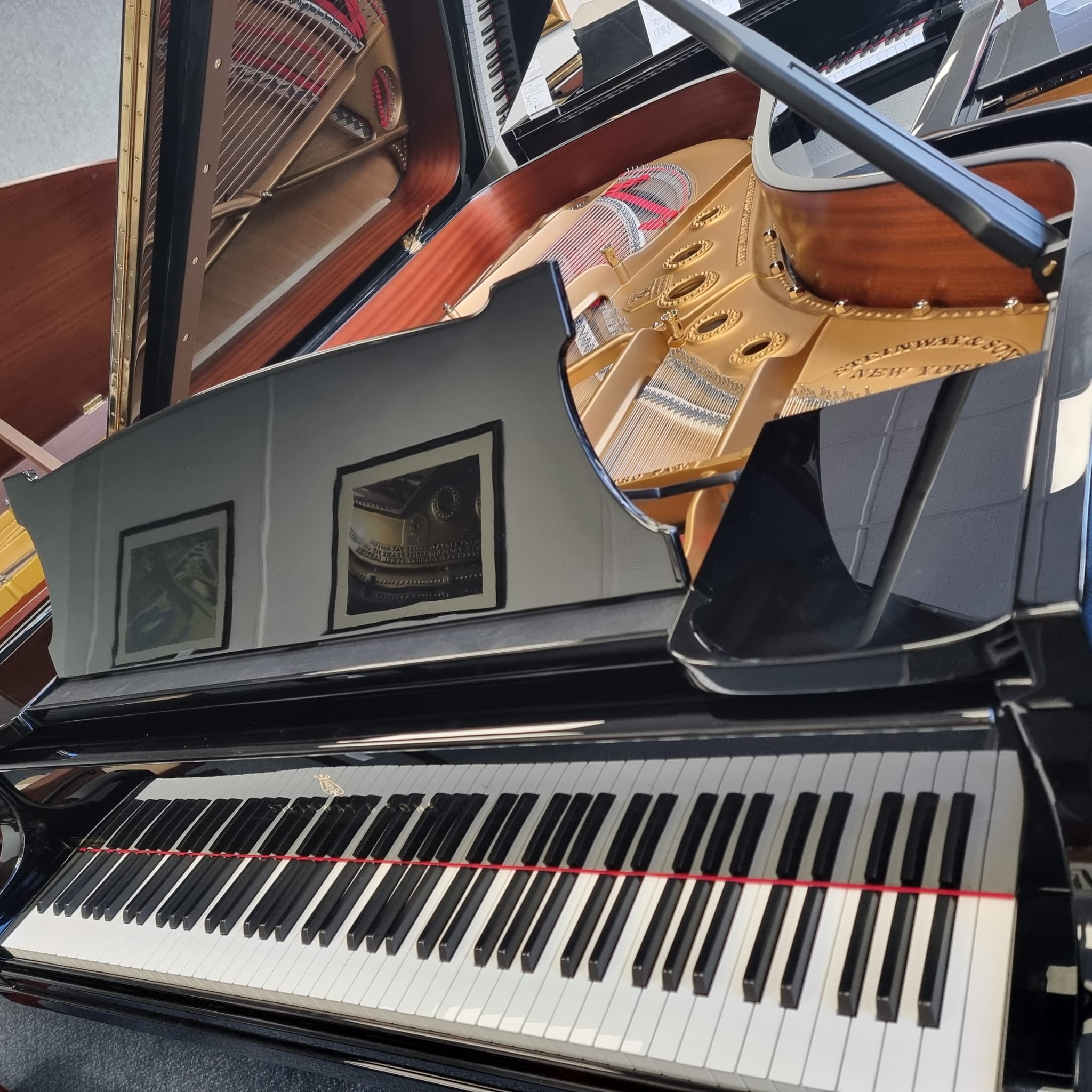 Steinway B