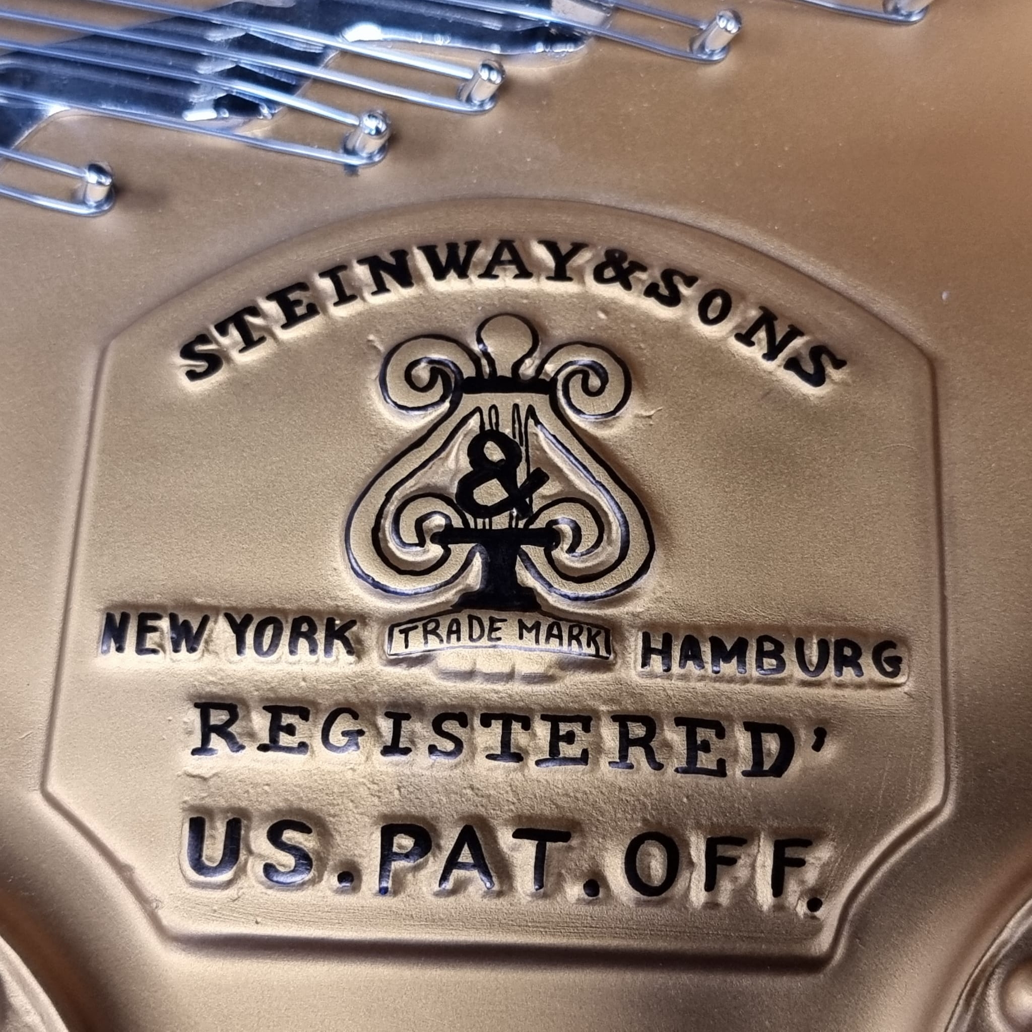 Steinway B