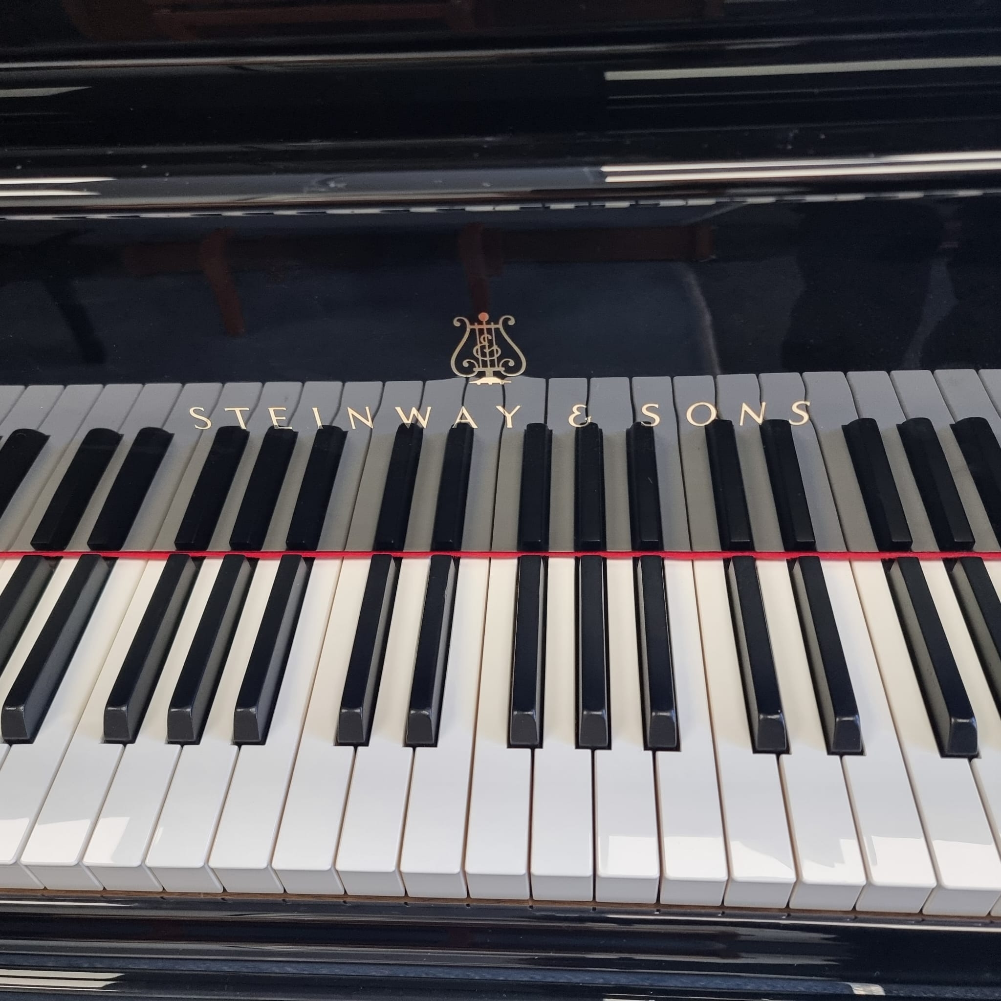 Steinway B