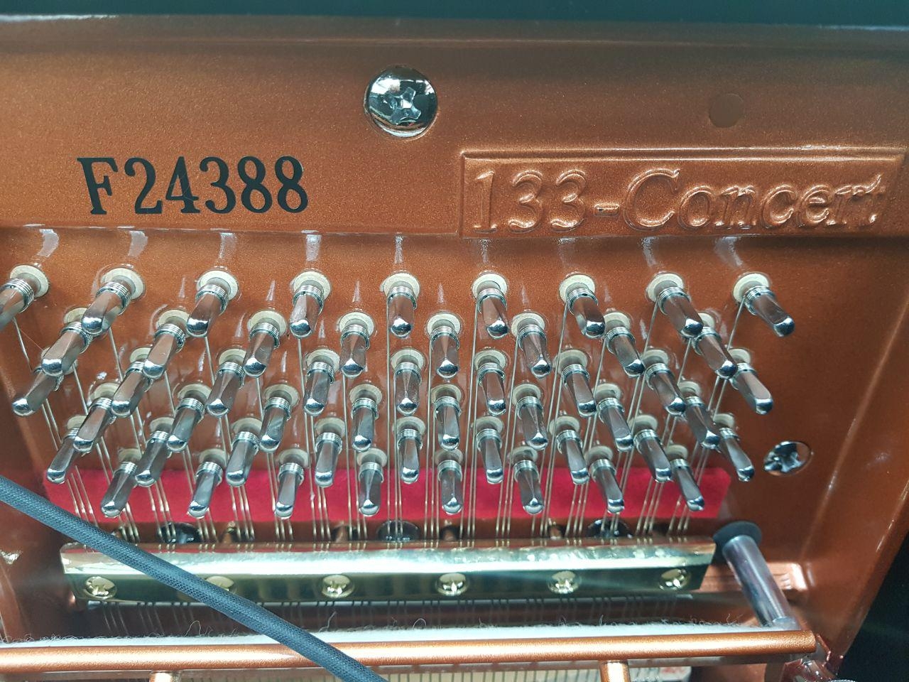 Feurich 133