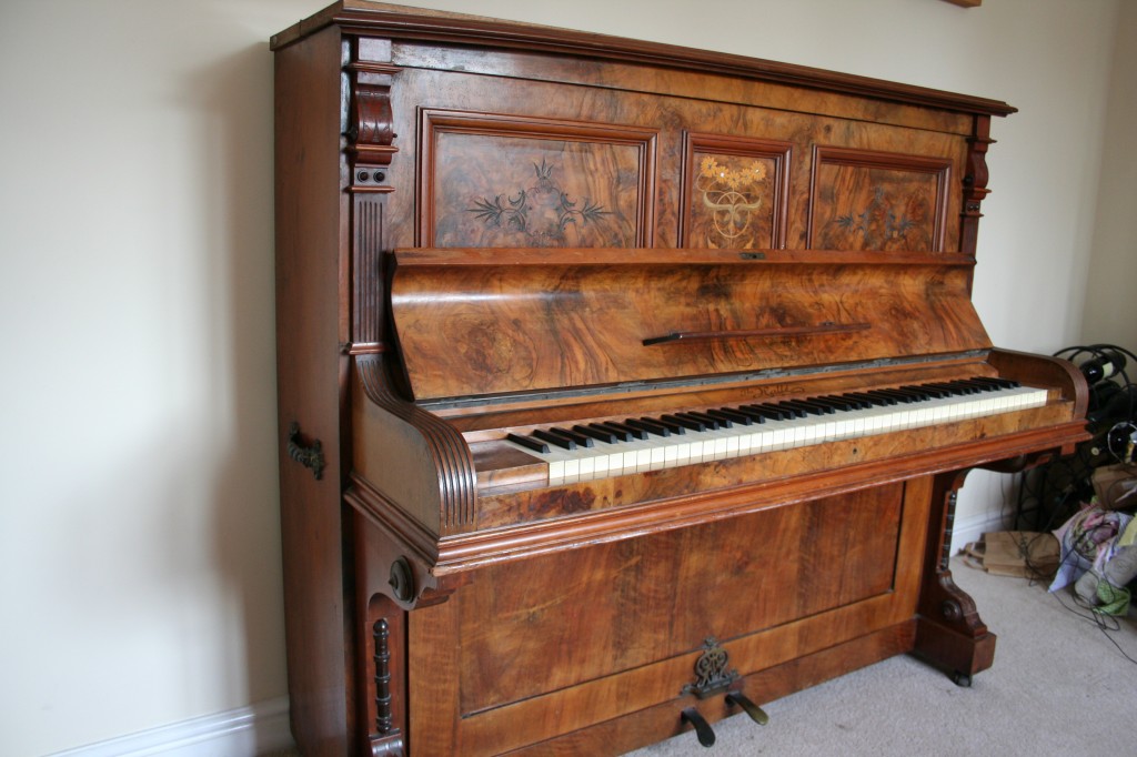 Blankenstein upright in walnut side view