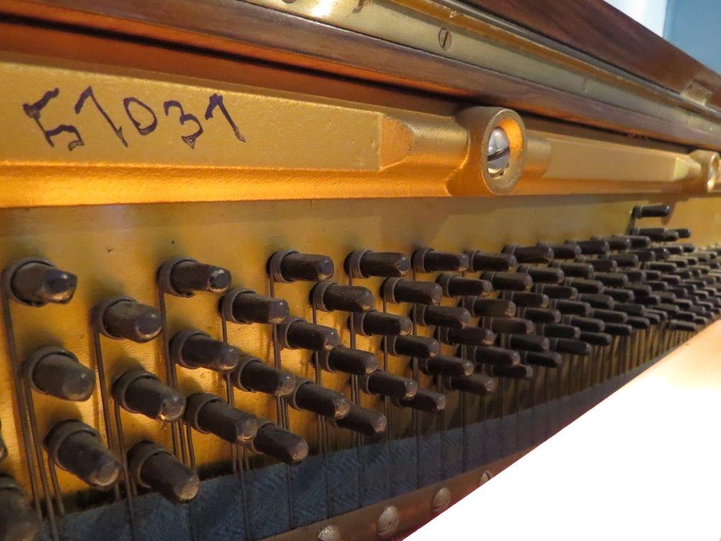 Steinberg Upright Piano 1908