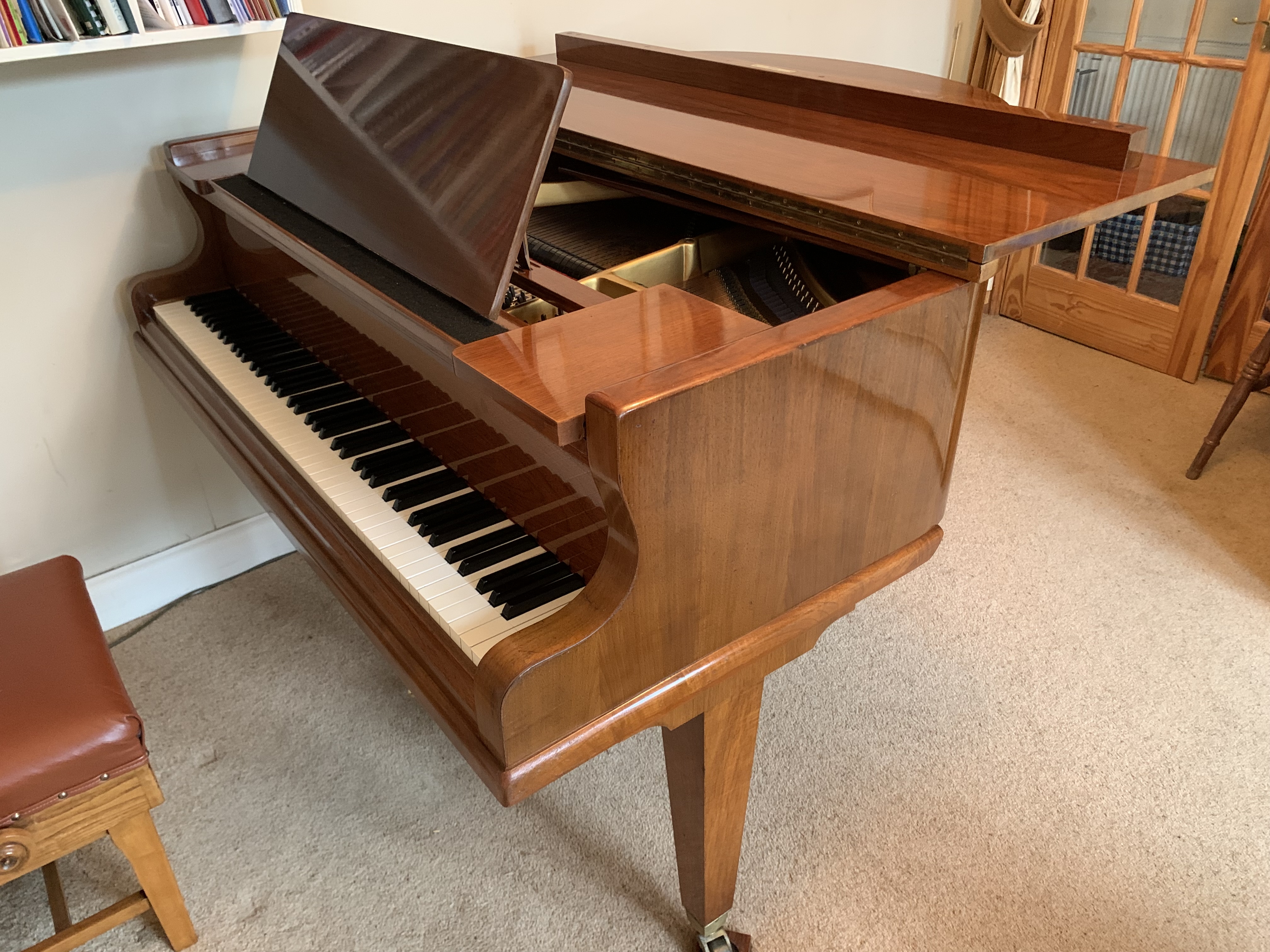 Hofmann & Czerny 150