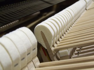 Yamaha GB1 hammer detail